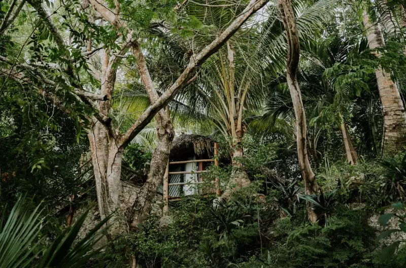 1. Images Comunicacion 1. Images Comunicacion