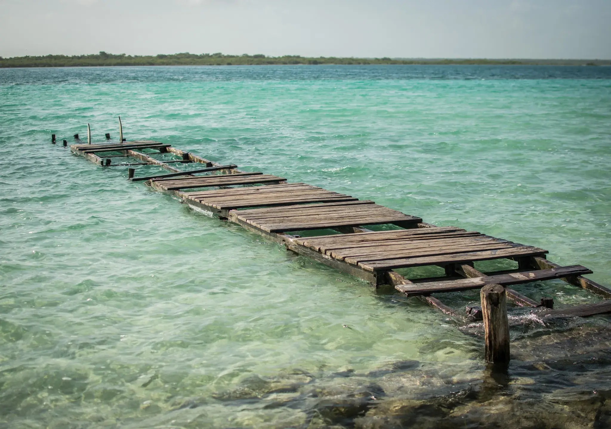 11. EAMF Lugar 11. EAMF Lugar