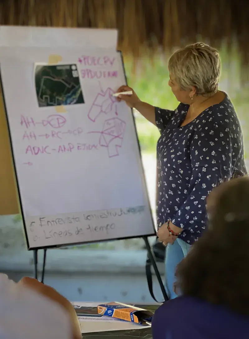 3. Image Comisiones 3. Image Comisiones