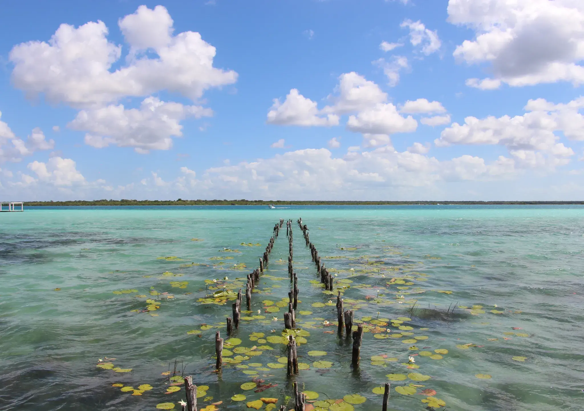 7. EAMF Lugar 7. EAMF Lugar