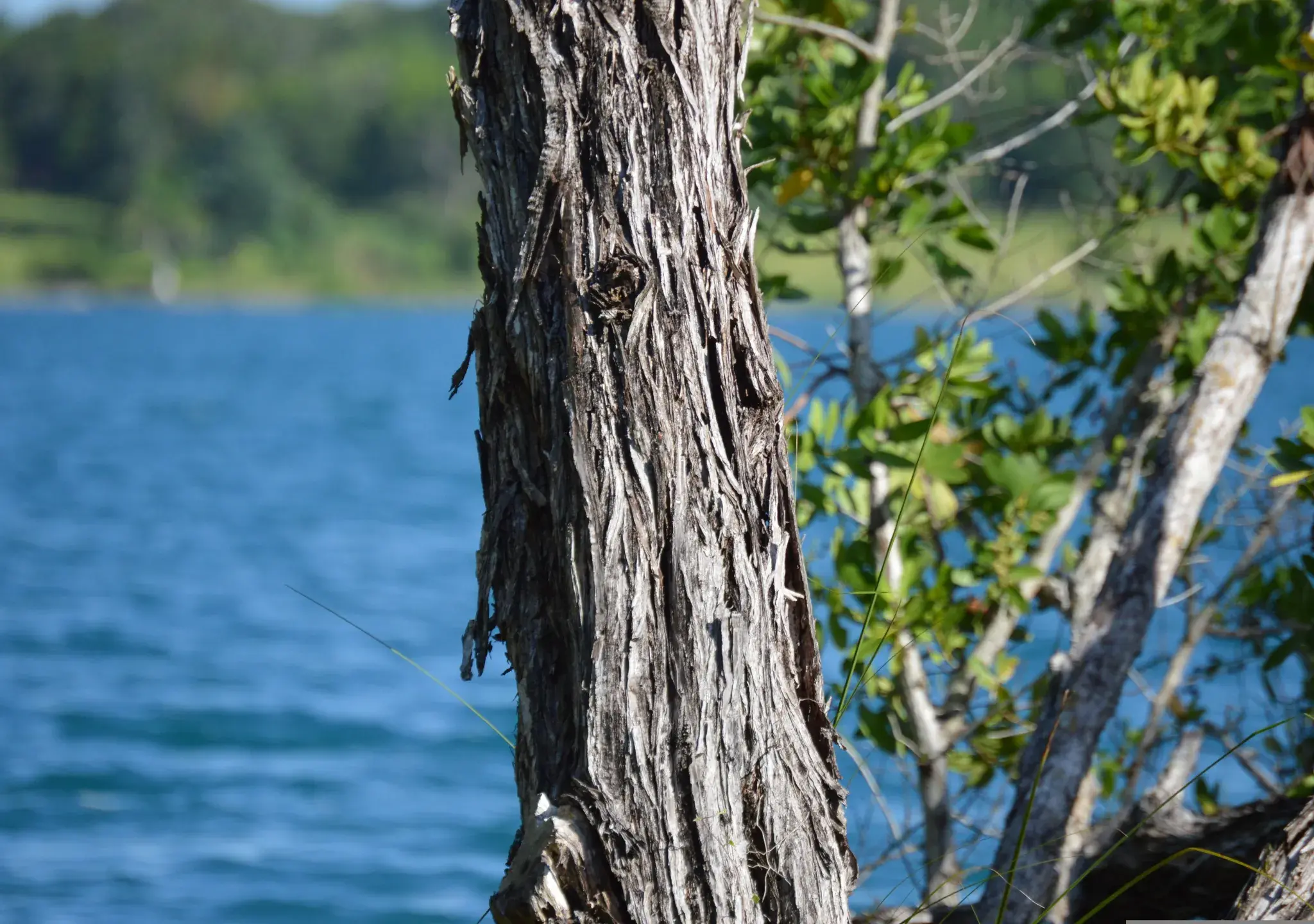 8. EAMF Lugar 8. EAMF Lugar