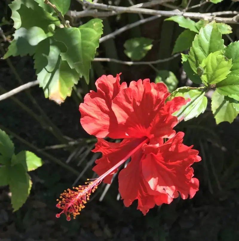 EAMF Galería Lugar Portada 1 Comunicación y Galería