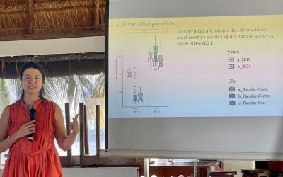 Estromatolitos de Bacalar gozan de buena salud: Ecosur presenta diagnóstico