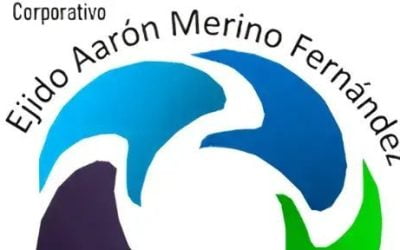 Histórico paso para el Ejido Aarón Merino Fernández: solicita delegado ante el Ayuntamiento de Bacalar