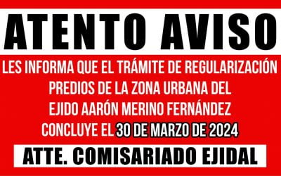 Plazo de trámite de regularización de predios en el Ejido Aarón Merino Fernández